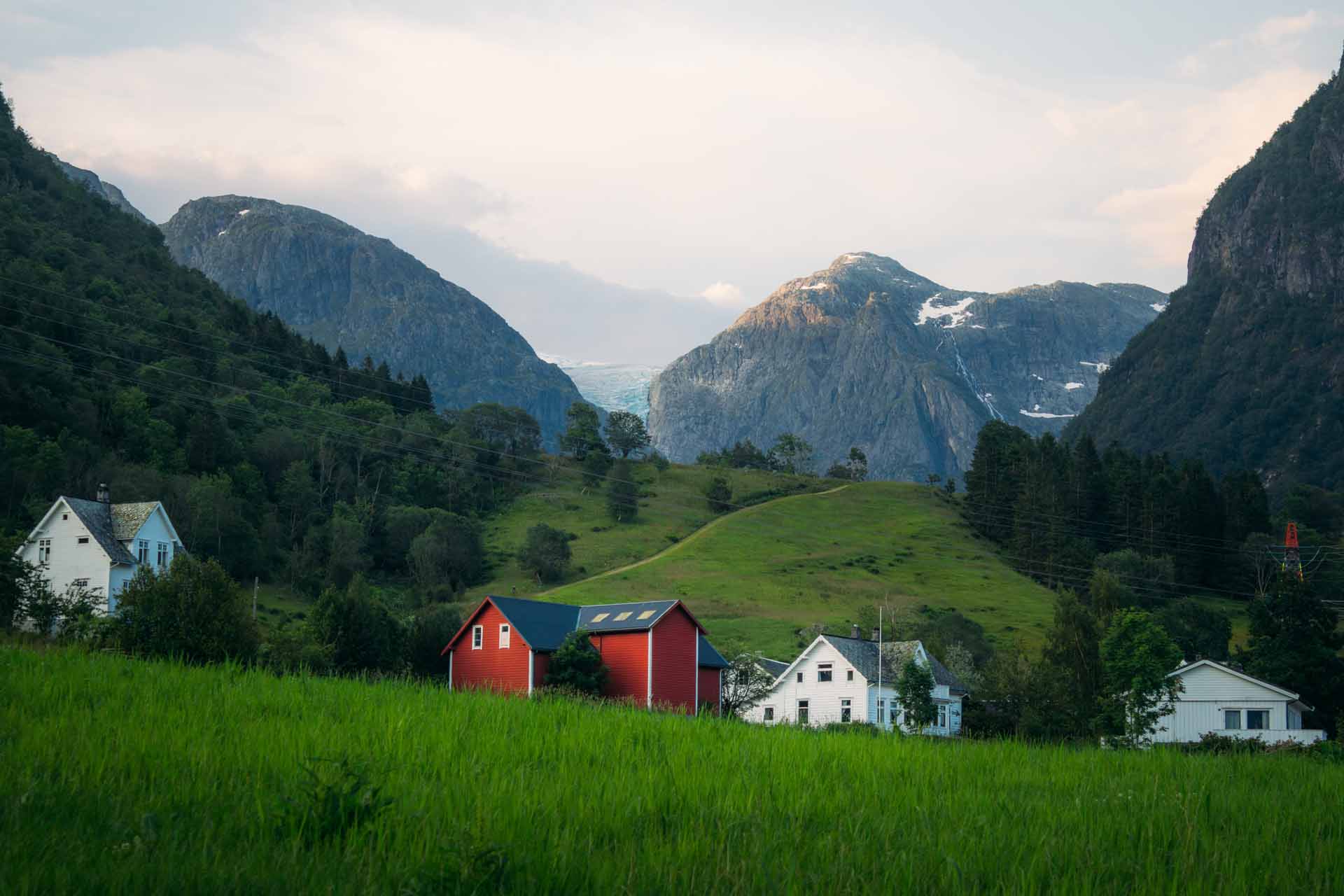 © Buster Wesslander. Sveriges Unga Naturfotografer.