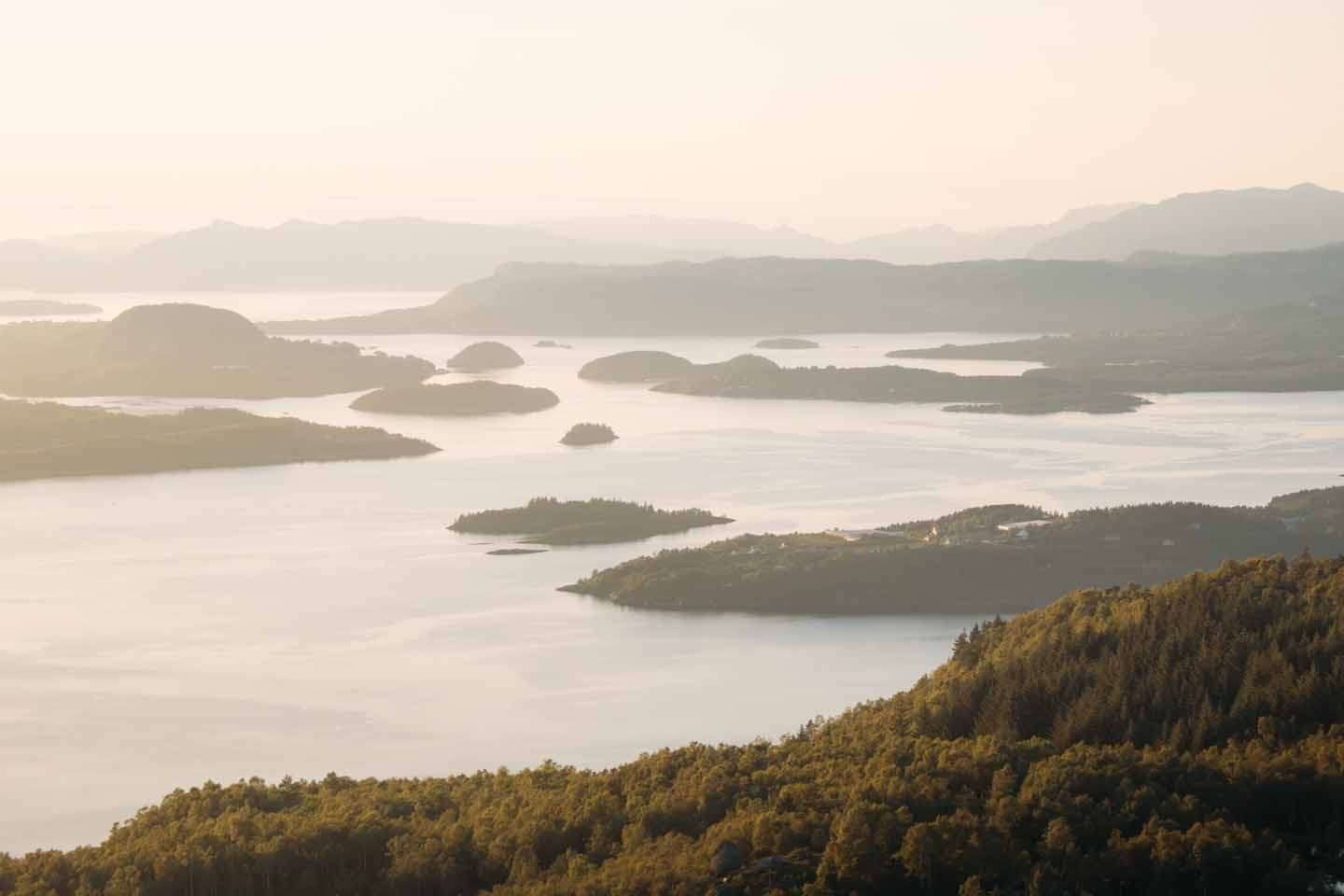 © Buster Wesslander. Sveriges Unga Naturfotografer.