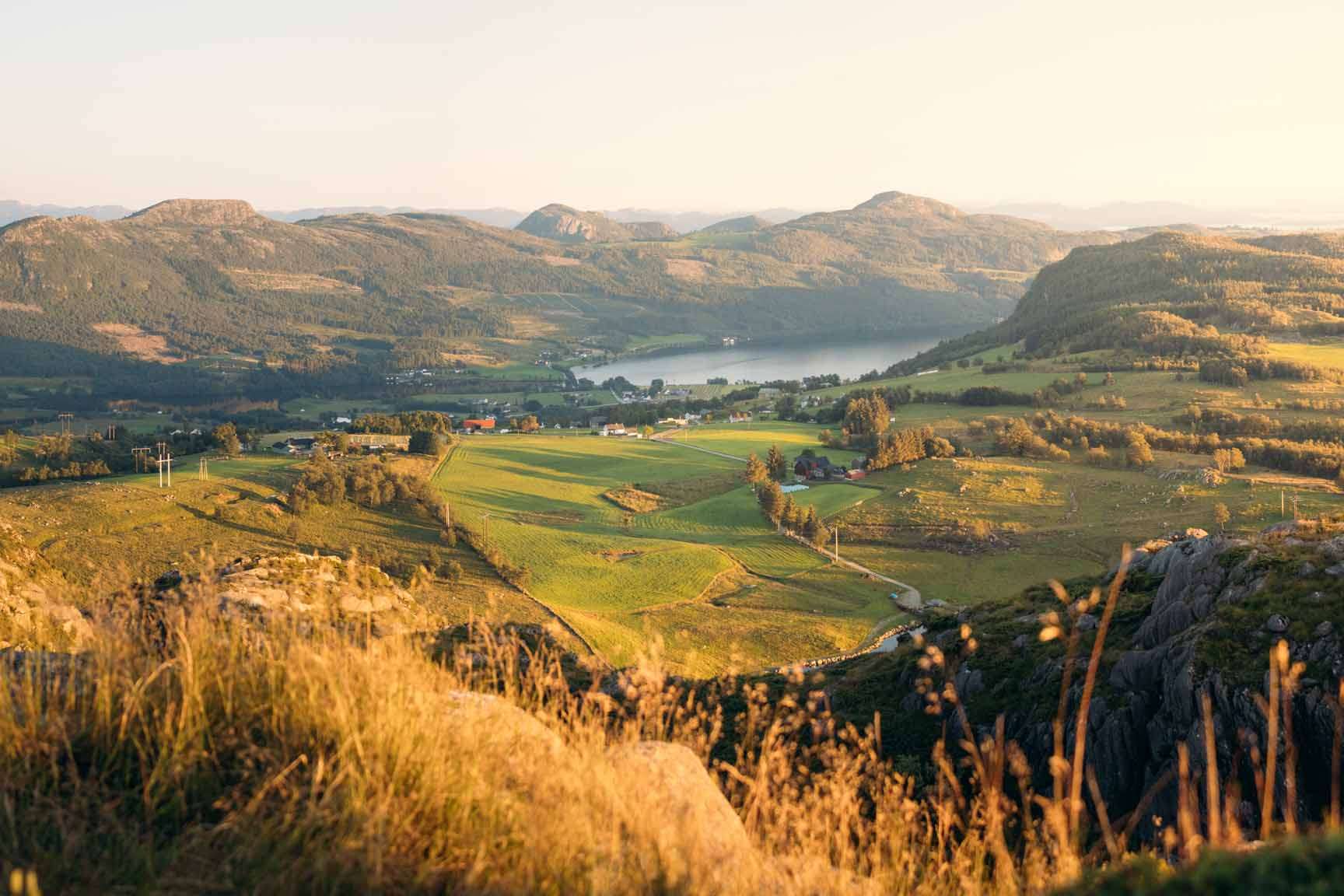 © Buster Wesslander. Sveriges Unga Naturfotografer.
