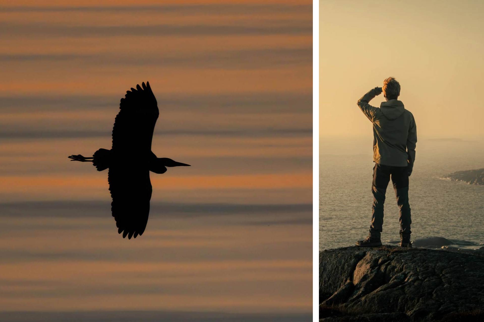 © Buster Wesslander. Sveriges Unga Naturfotografer. Minimalism i naturfoto: 18-årig naturfotograf visar kreativa bilder.