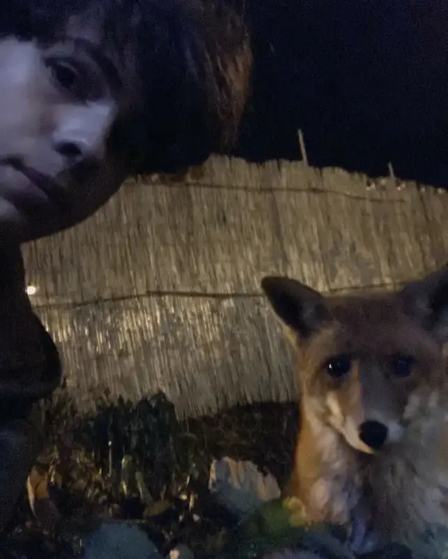 © Gabriel Lundqvist. Sveriges Unga Naturfotografer.